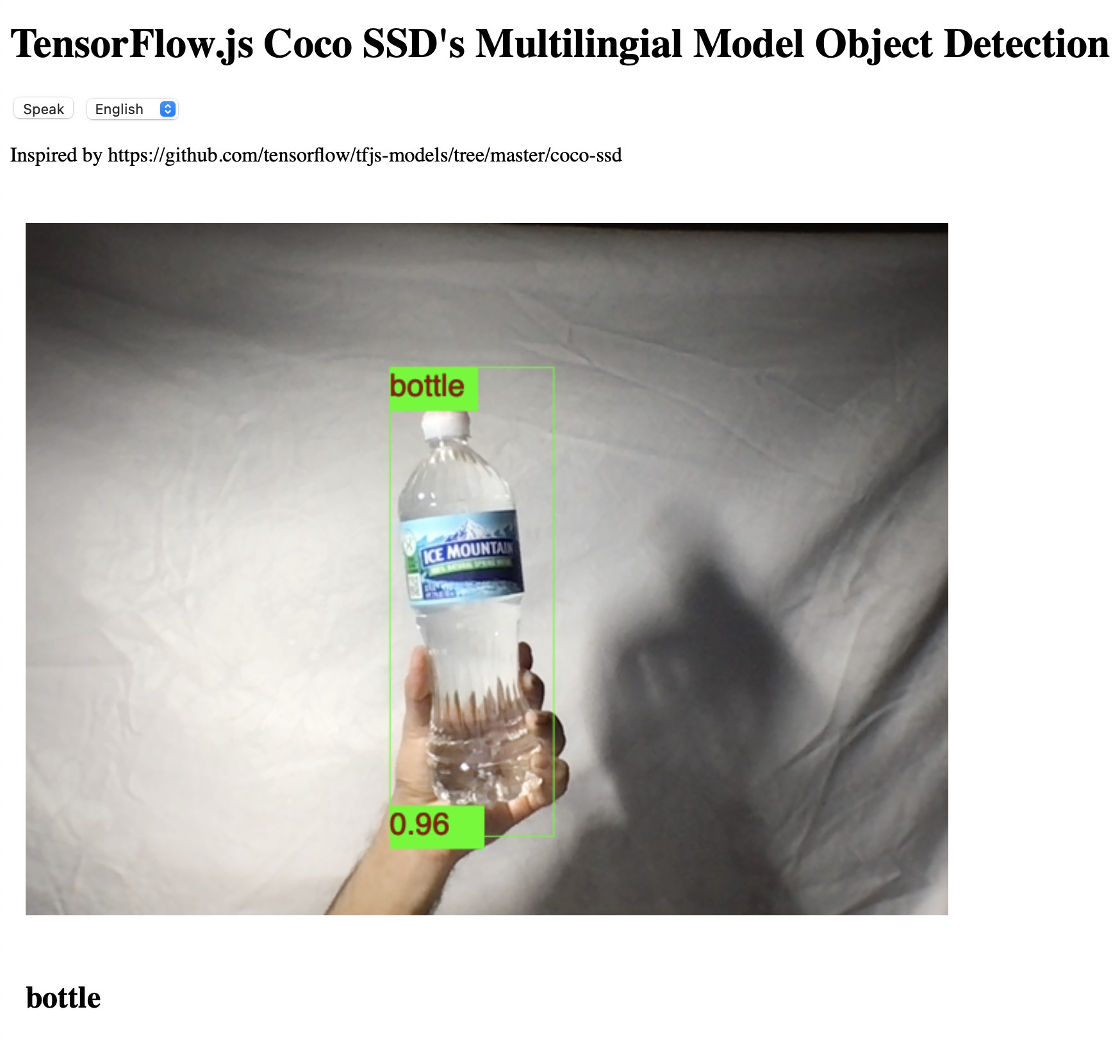 Multilingual Object Detection